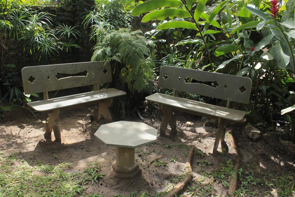 Pousada Atlântica Itacaré Extérieur photo