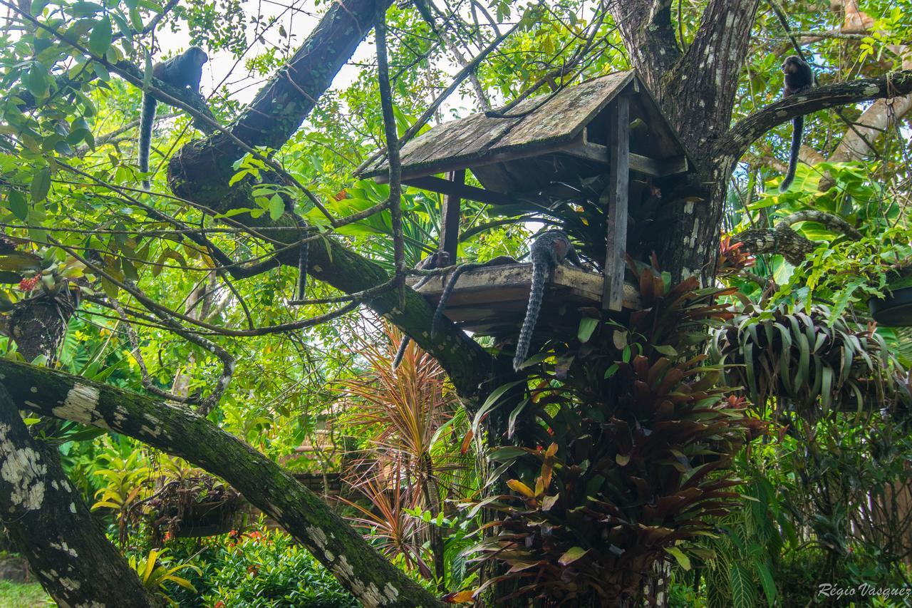 Pousada Atlântica Itacaré Extérieur photo