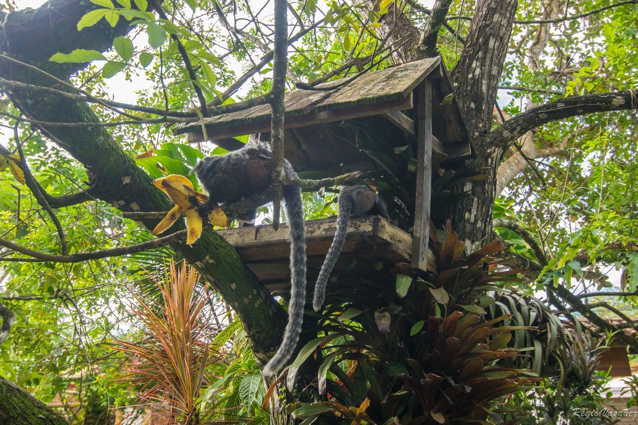 Pousada Atlântica Itacaré Extérieur photo